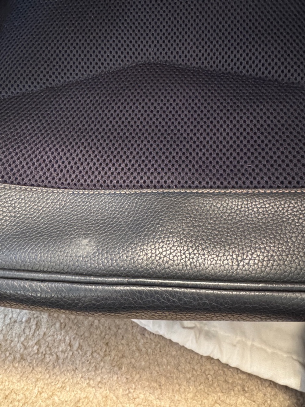 Coach Signature Canvas Backpack in Brown and Black - Picture 11 of 12